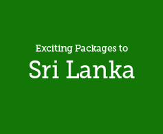 sri lanka holiday packages