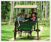 A family enjoying a bullock cart ride